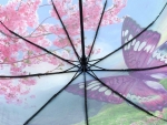 Зонт  женский River 5002-3_product